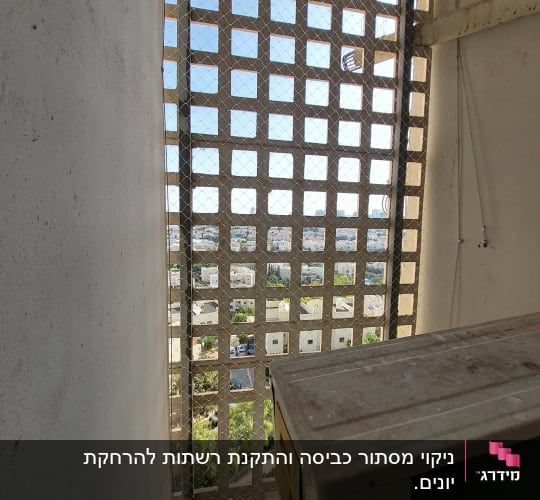 רשת למניעת כניסת יונים על חלון בניין